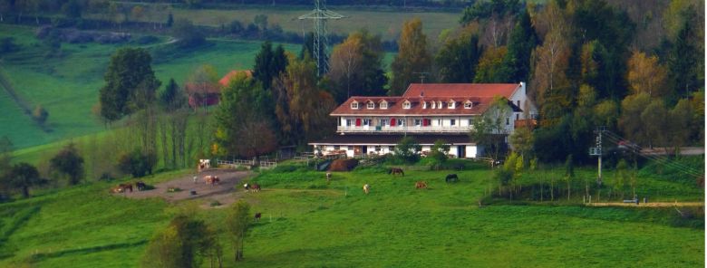 Der Kapellenhof heute